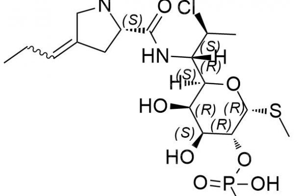 We need the following material: Clindamycin EP Impurity J CAS 1309349-64-1