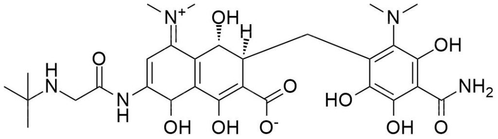 We need the following material: Tigecycline USP Impurity A  CAS 1138343-10-8