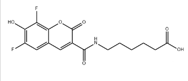 We need the following material: N-[4-(5-OXO-4,5-DIHYDRO-1,2,4-OXADIAZOL-3-YL)PHENYL]GLYCINE CAS 872728-82-0