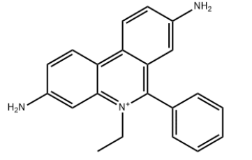 We need the following material: Ethidium bromide CAS 1239-45-8