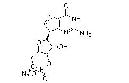 We need the following material: Guanosine 3',5'-cyclic monophosphate sodium salt CAS 40732-48-7